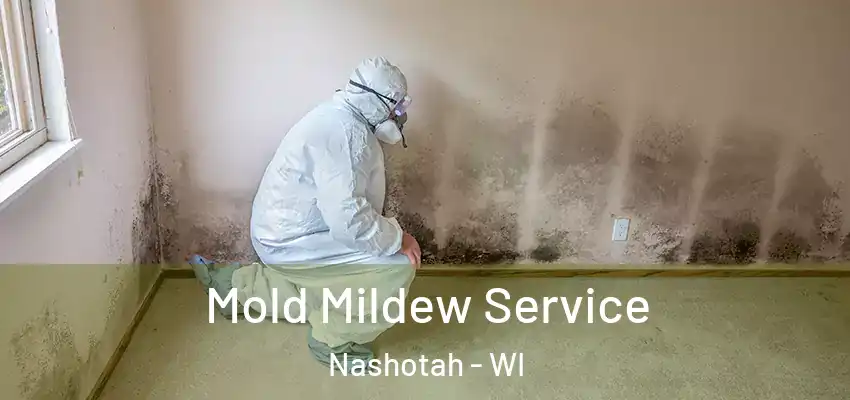  Mold Mildew Service Nashotah - WI