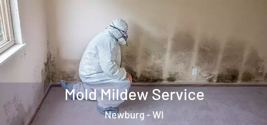  Mold Mildew Service Newburg - WI