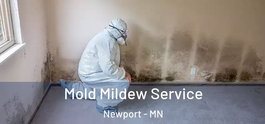  Mold Mildew Service Newport - MN