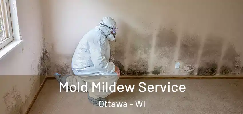  Mold Mildew Service Ottawa - WI