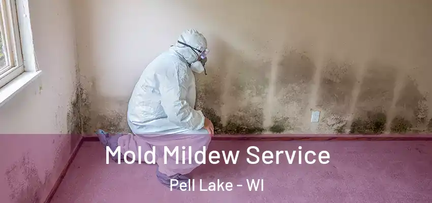  Mold Mildew Service Pell Lake - WI