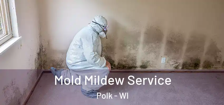  Mold Mildew Service Polk - WI