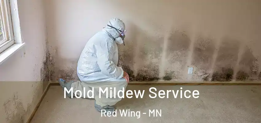  Mold Mildew Service Red Wing - MN