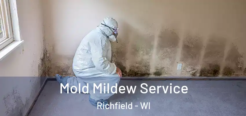  Mold Mildew Service Richfield - WI
