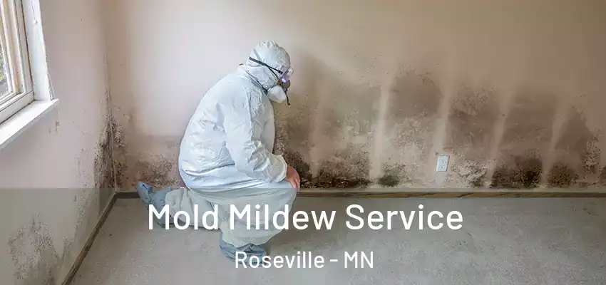  Mold Mildew Service Roseville - MN