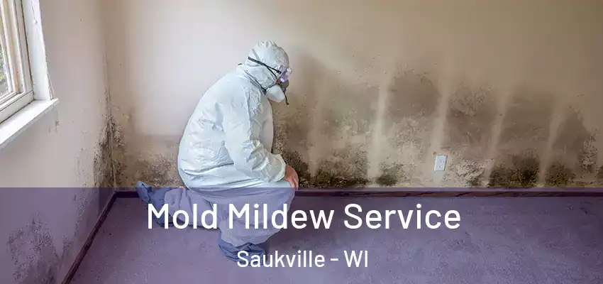  Mold Mildew Service Saukville - WI