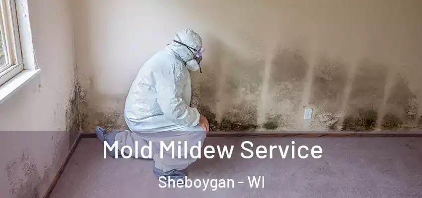  Mold Mildew Service Sheboygan - WI