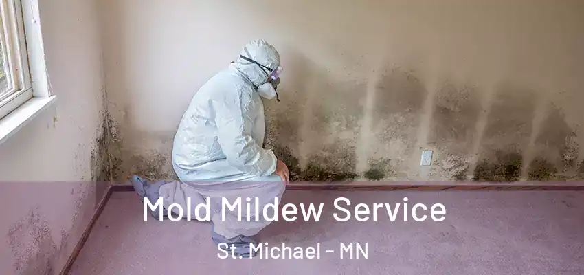  Mold Mildew Service St. Michael - MN
