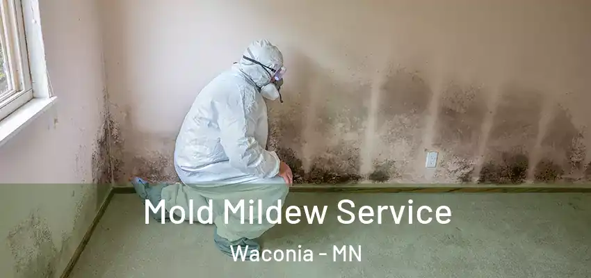 Mold Mildew Service Waconia - MN
