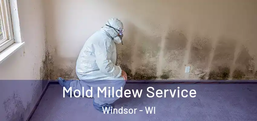  Mold Mildew Service Windsor - WI