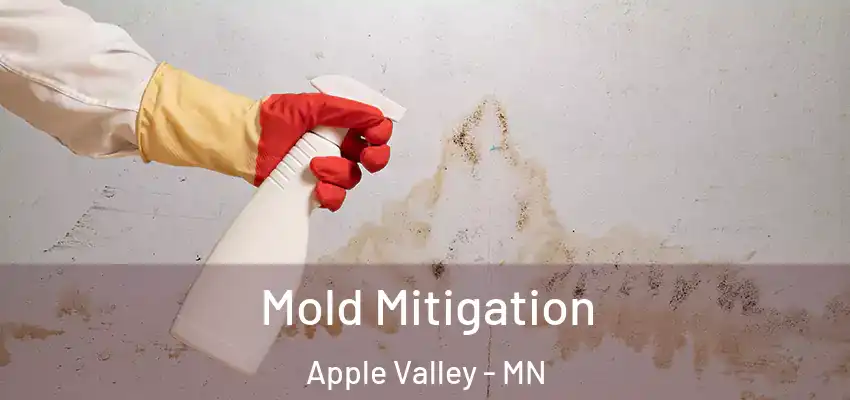  Mold Mitigation Apple Valley - MN