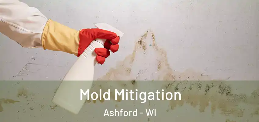  Mold Mitigation Ashford - WI