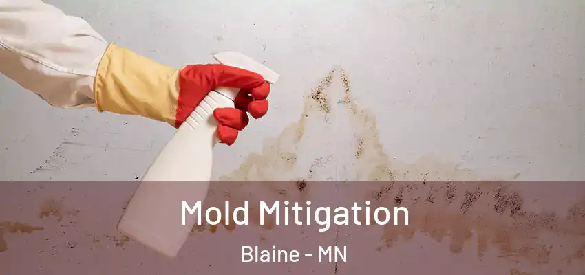  Mold Mitigation Blaine - MN