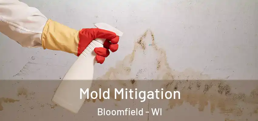  Mold Mitigation Bloomfield - WI