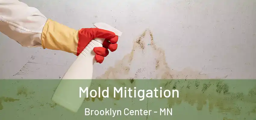  Mold Mitigation Brooklyn Center - MN