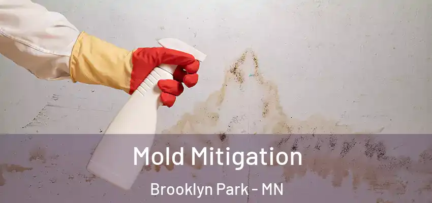  Mold Mitigation Brooklyn Park - MN