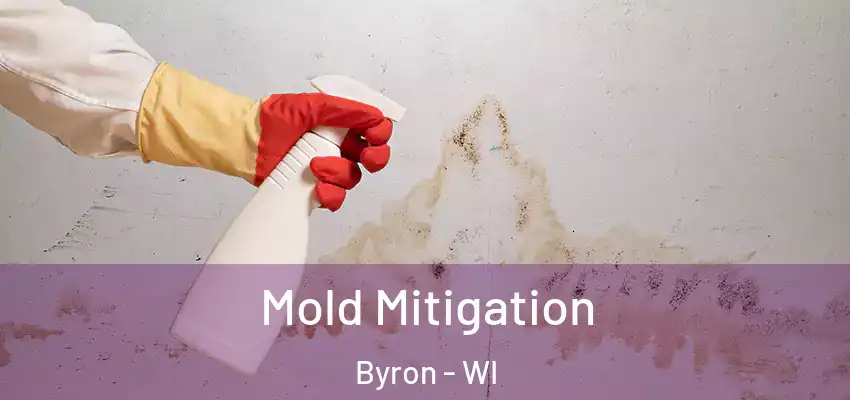  Mold Mitigation Byron - WI