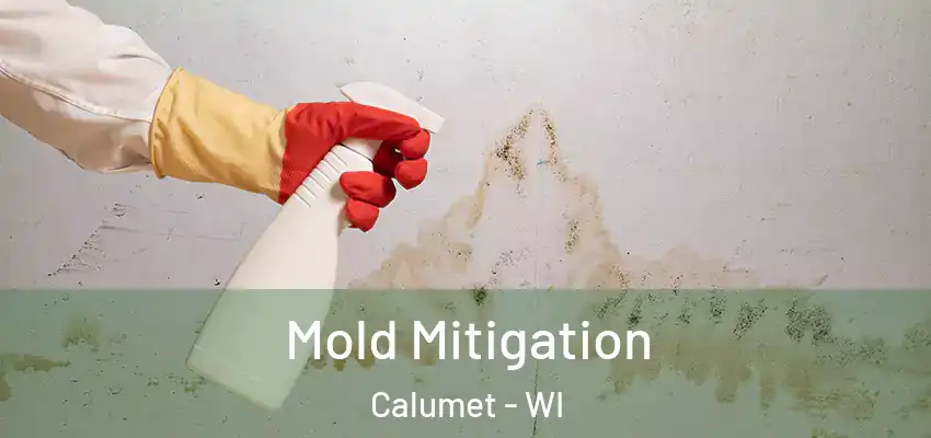  Mold Mitigation Calumet - WI