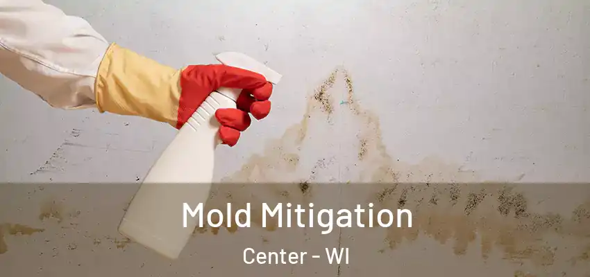  Mold Mitigation Center - WI