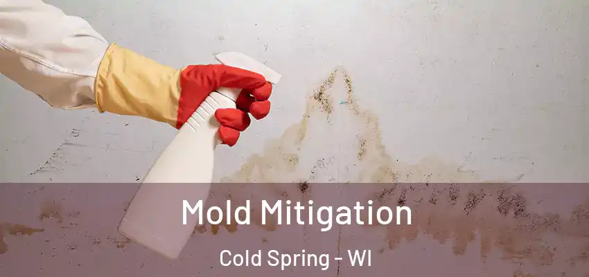  Mold Mitigation Cold Spring - WI