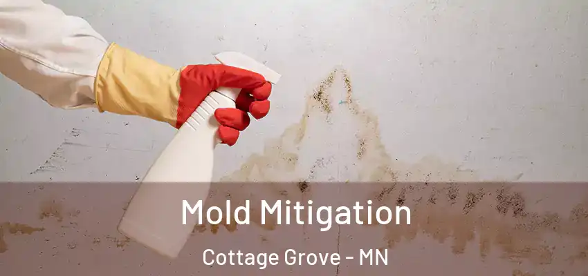  Mold Mitigation Cottage Grove - MN