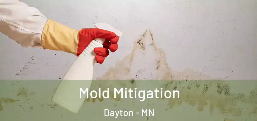  Mold Mitigation Dayton - MN