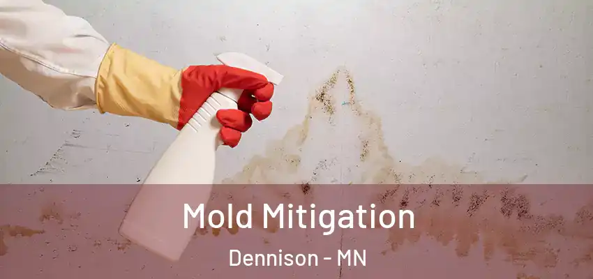  Mold Mitigation Dennison - MN