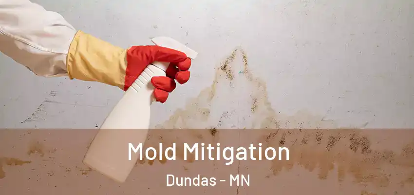  Mold Mitigation Dundas - MN
