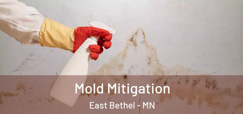 Mold Mitigation East Bethel - MN