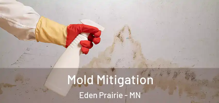  Mold Mitigation Eden Prairie - MN