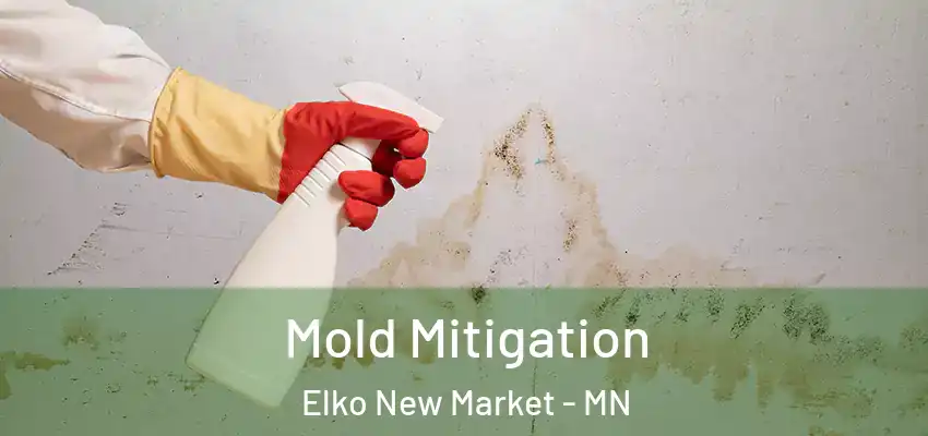 Mold Mitigation Elko New Market - MN