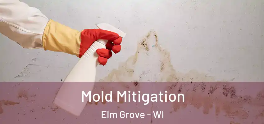 Mold Mitigation Elm Grove - WI