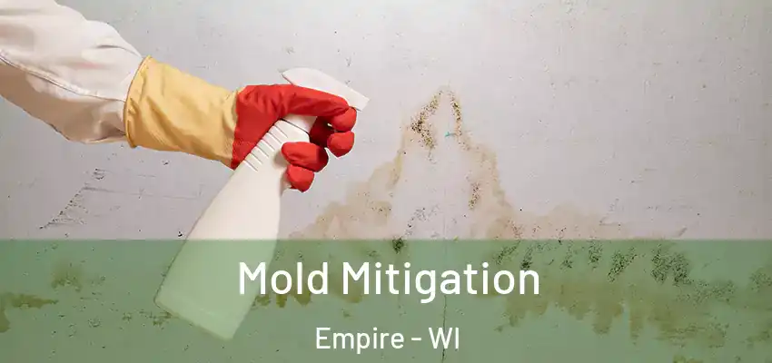 Mold Mitigation Empire - WI