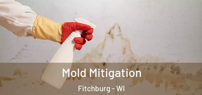 Mold Mitigation Fitchburg - WI