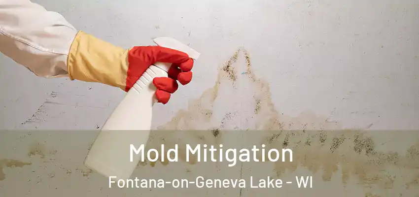  Mold Mitigation Fontana-on-Geneva Lake - WI