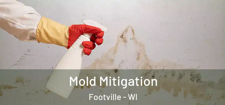  Mold Mitigation Footville - WI