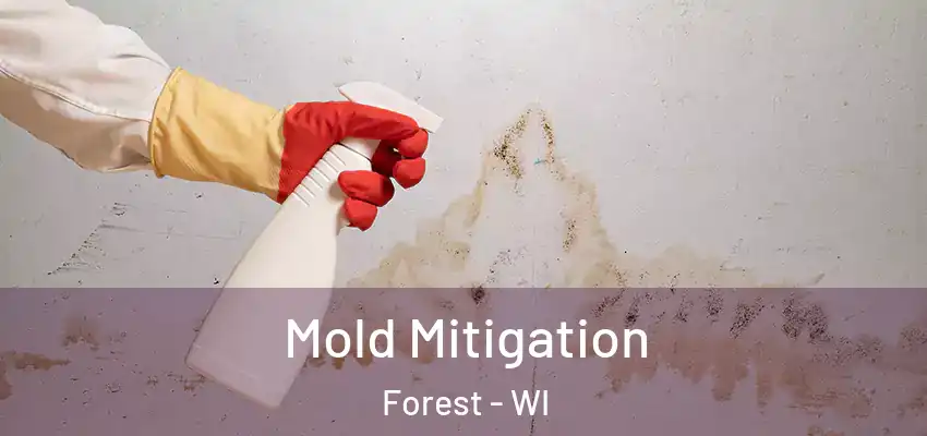  Mold Mitigation Forest - WI