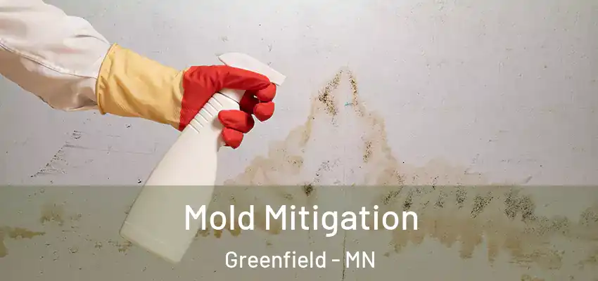  Mold Mitigation Greenfield - MN