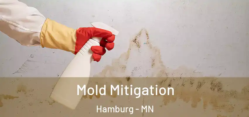  Mold Mitigation Hamburg - MN