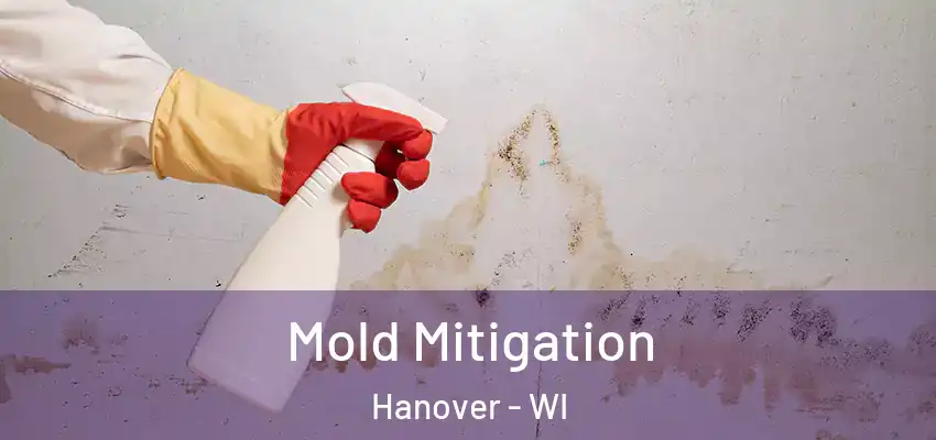  Mold Mitigation Hanover - WI