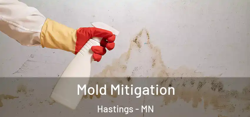Mold Mitigation Hastings - MN