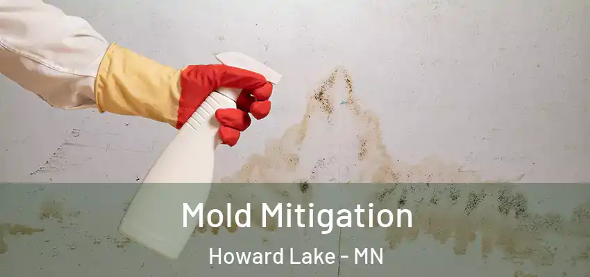 Mold Mitigation Howard Lake - MN