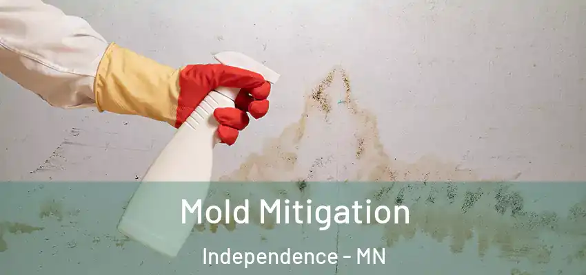  Mold Mitigation Independence - MN