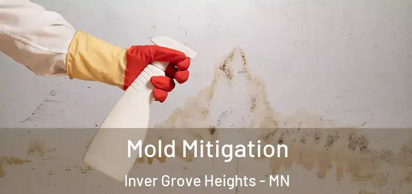  Mold Mitigation Inver Grove Heights - MN