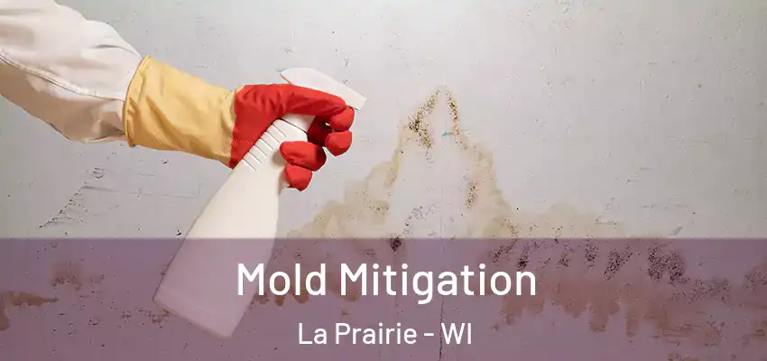 Mold Mitigation La Prairie - WI