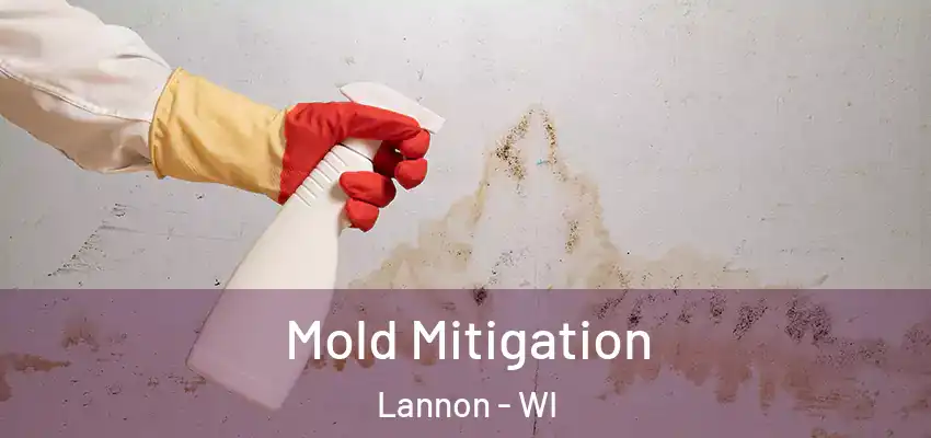  Mold Mitigation Lannon - WI