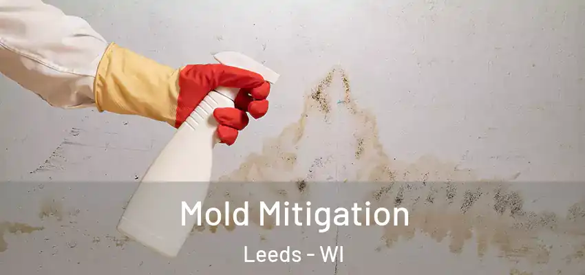 Mold Mitigation Leeds - WI