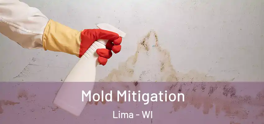  Mold Mitigation Lima - WI