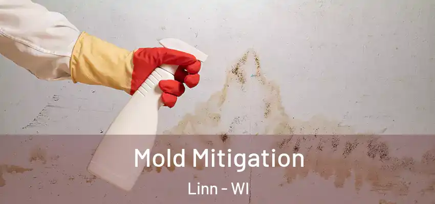  Mold Mitigation Linn - WI