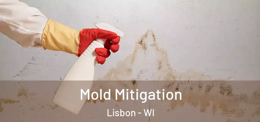  Mold Mitigation Lisbon - WI